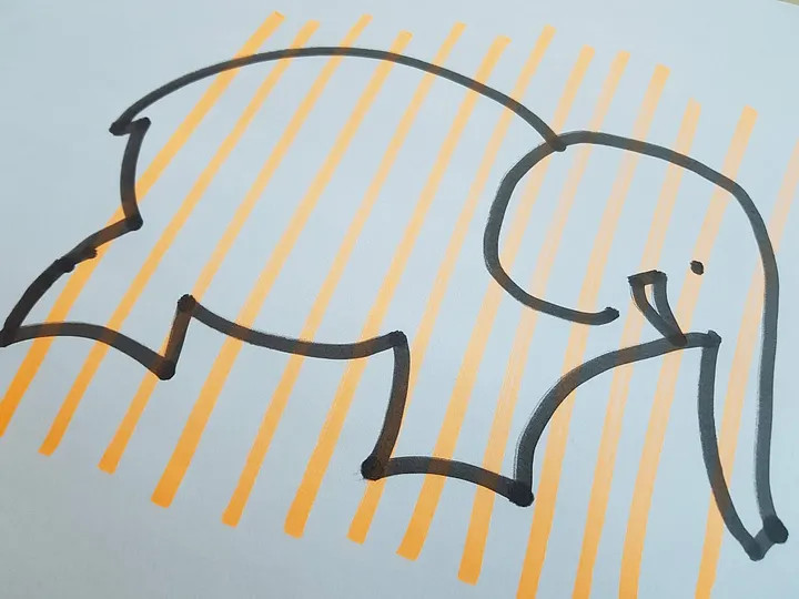 drawing of an elephant with yellow vertical lines drawn over it to indicate slices